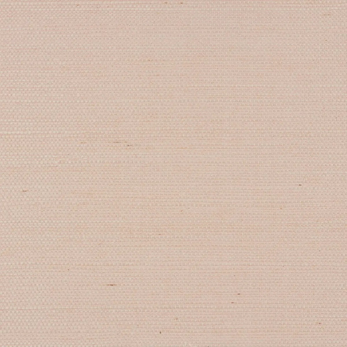 Schumacher X Backdrop Collaboration 5010851
