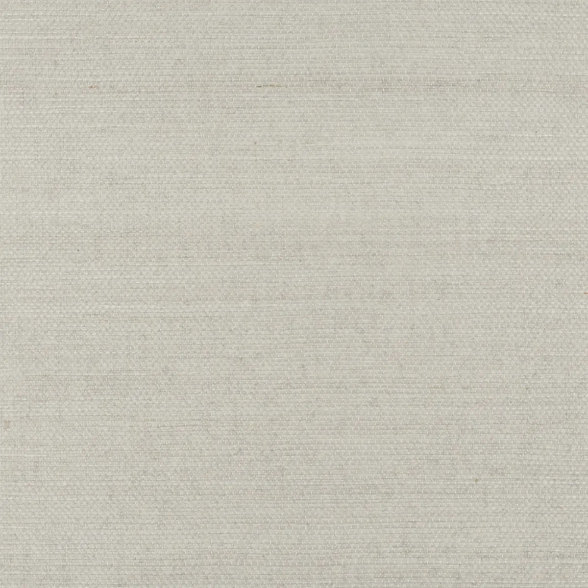 Schumacher X Backdrop Collaboration 5010852