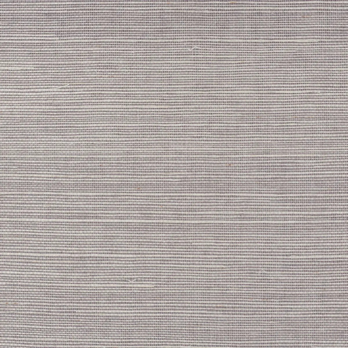 Schumacher X Backdrop Collaboration 5010853