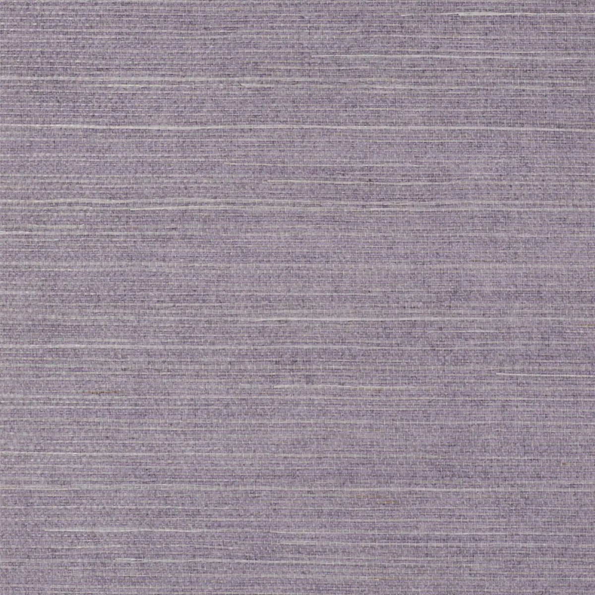 Schumacher X Backdrop Collaboration 5010854