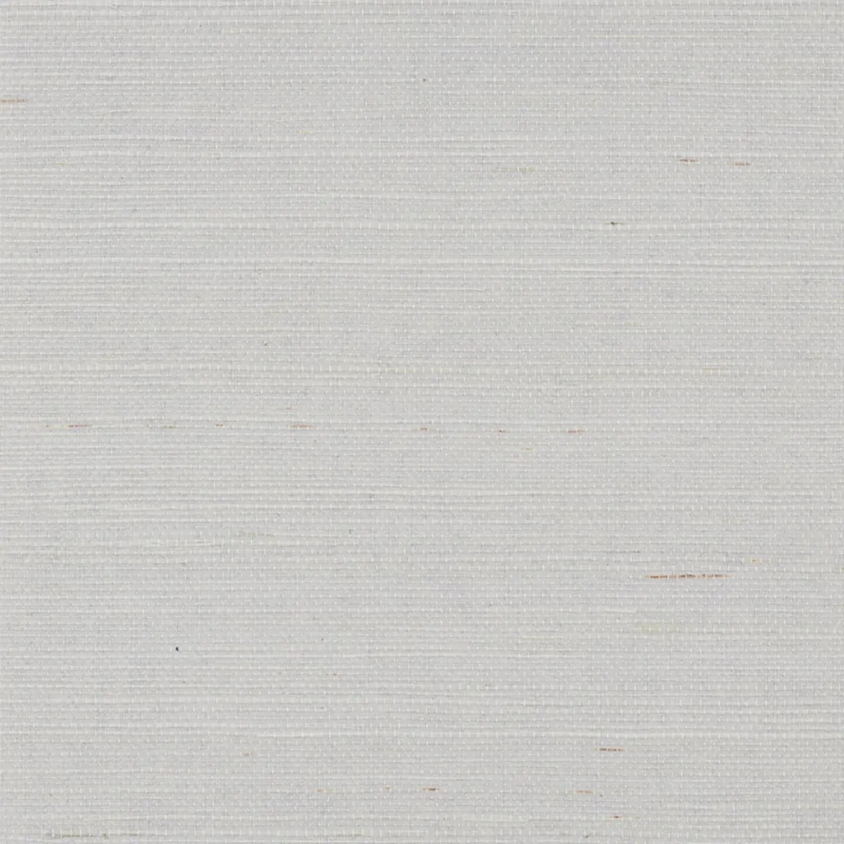 Schumacher X Backdrop Collaboration 5010855