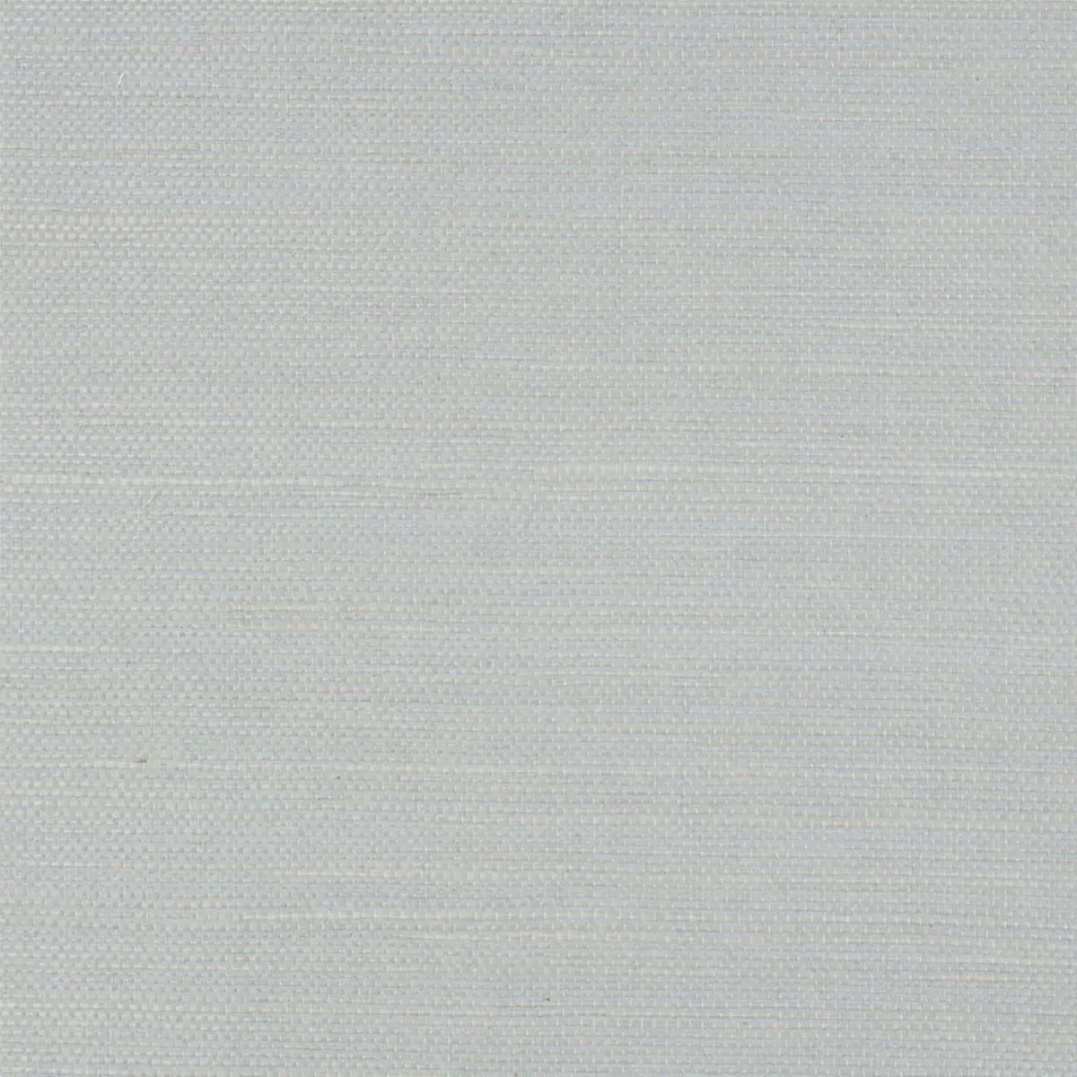 Schumacher X Backdrop Collaboration 5010856