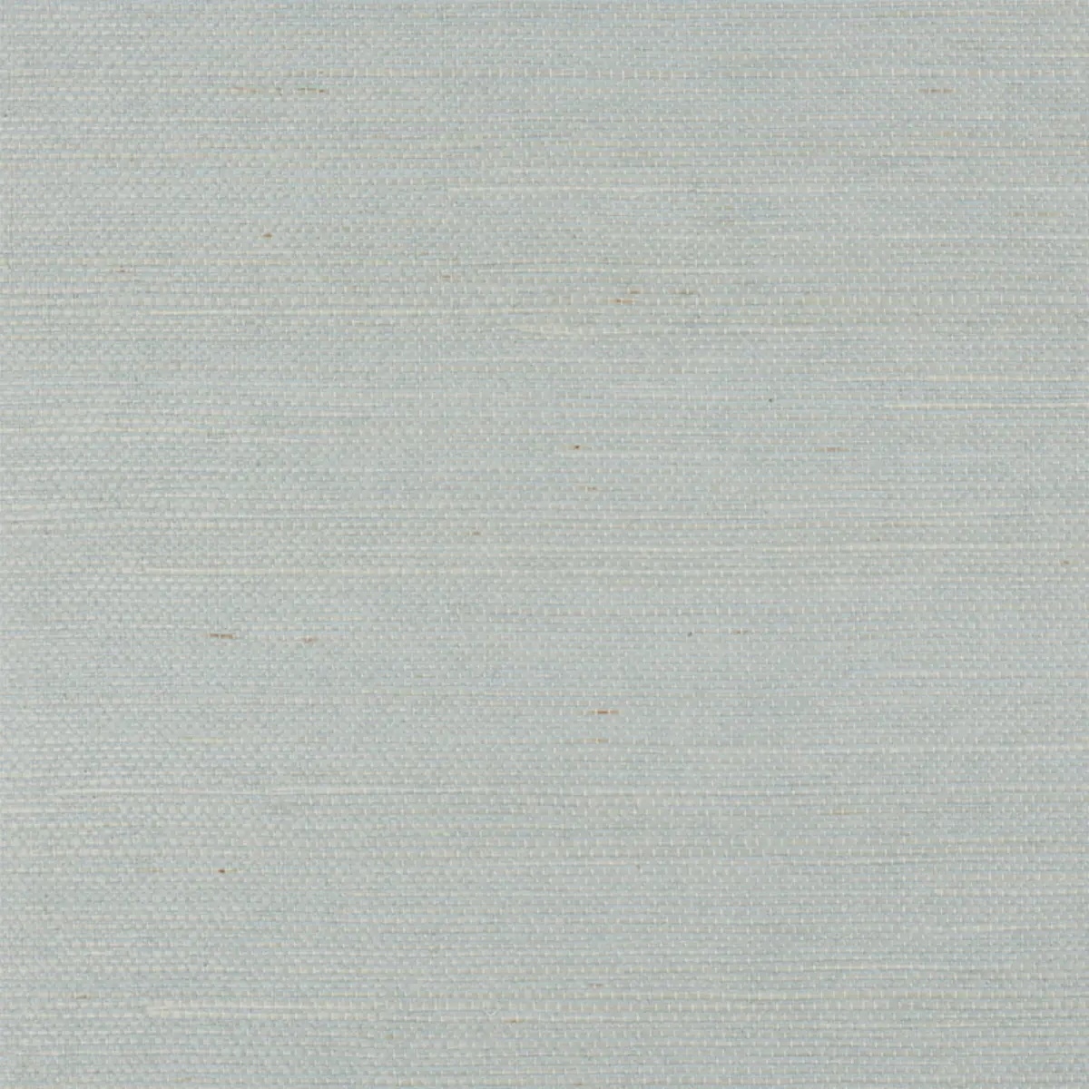 Schumacher X Backdrop Collaboration 5010857
