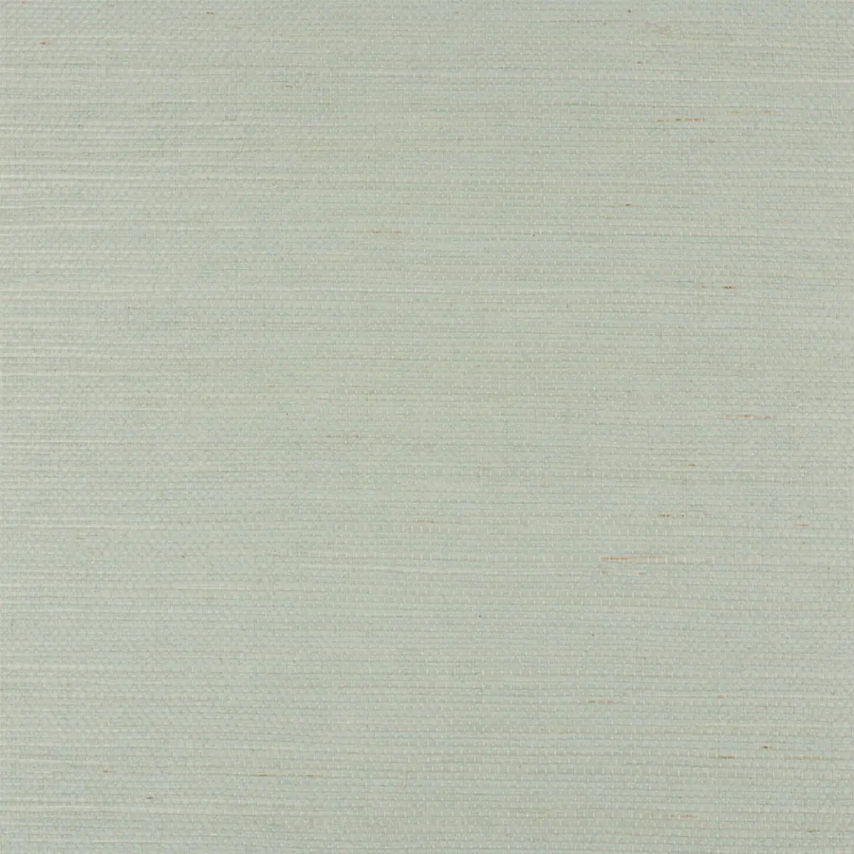 Schumacher X Backdrop Collaboration 5010858