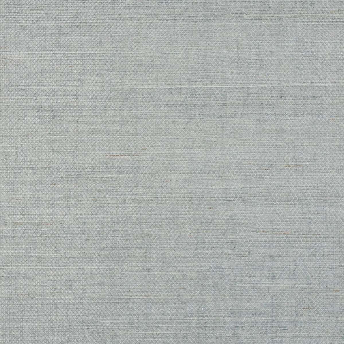 Schumacher X Backdrop Collaboration 5010859