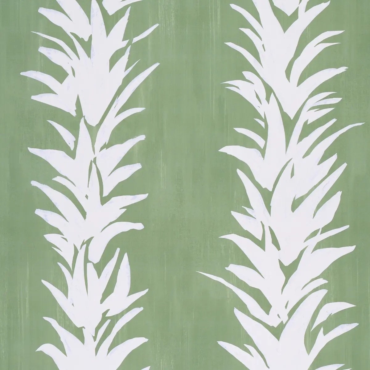 Schumacher X Backdrop Collaboration 5013660