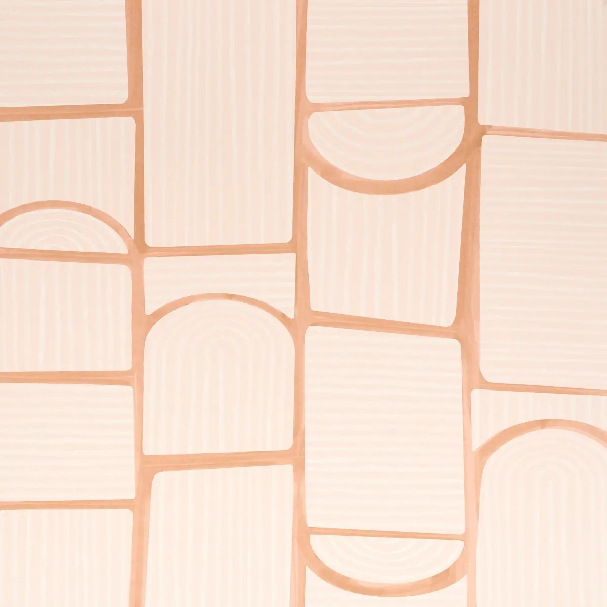 Schumacher X Backdrop Collaboration 5013680