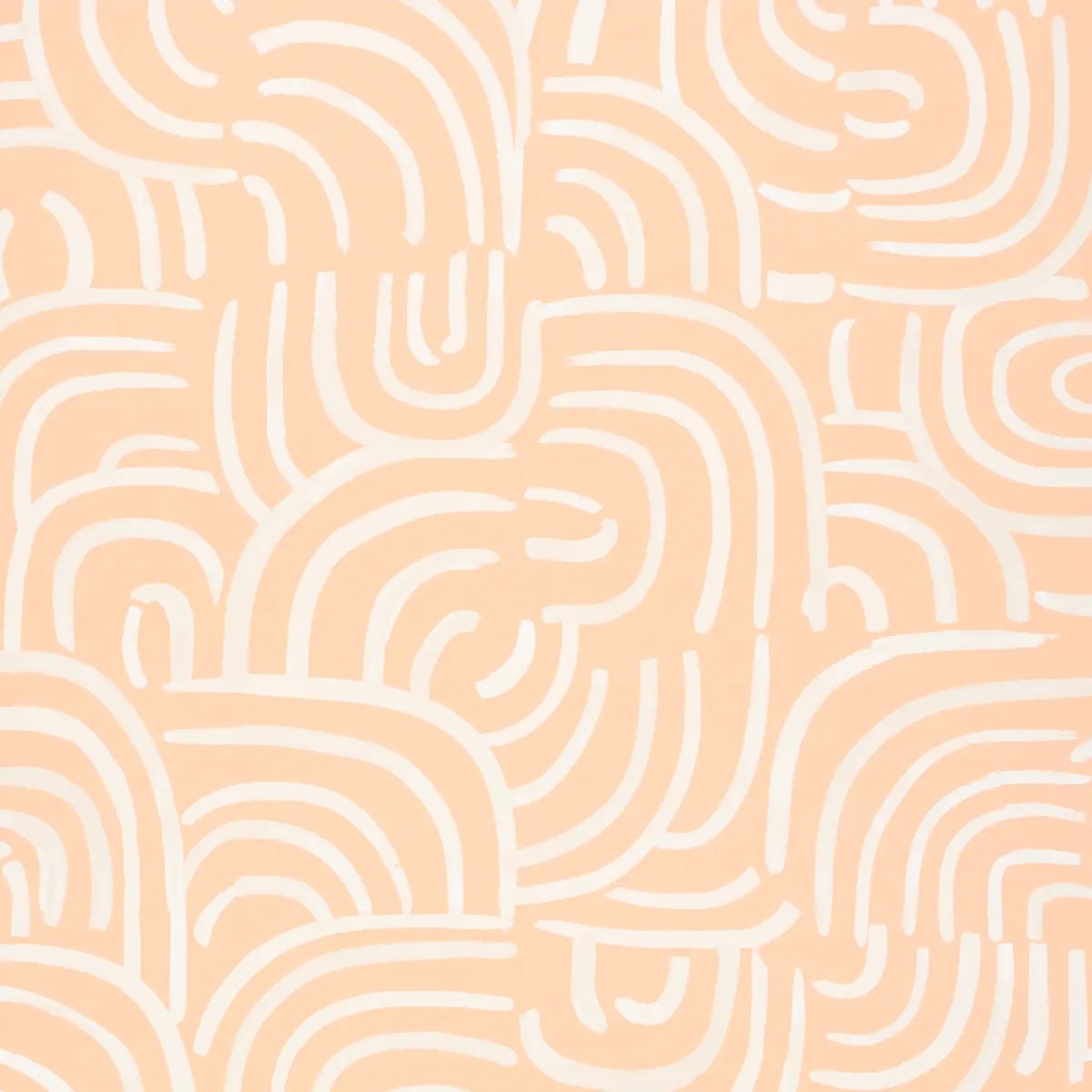 Schumacher X Backdrop Collaboration 5013692