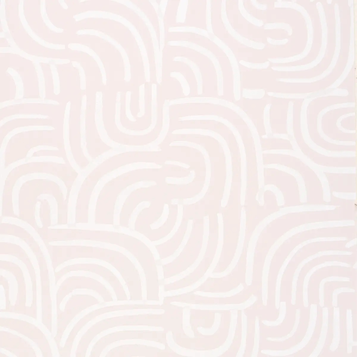 Schumacher X Backdrop Collaboration 5013693