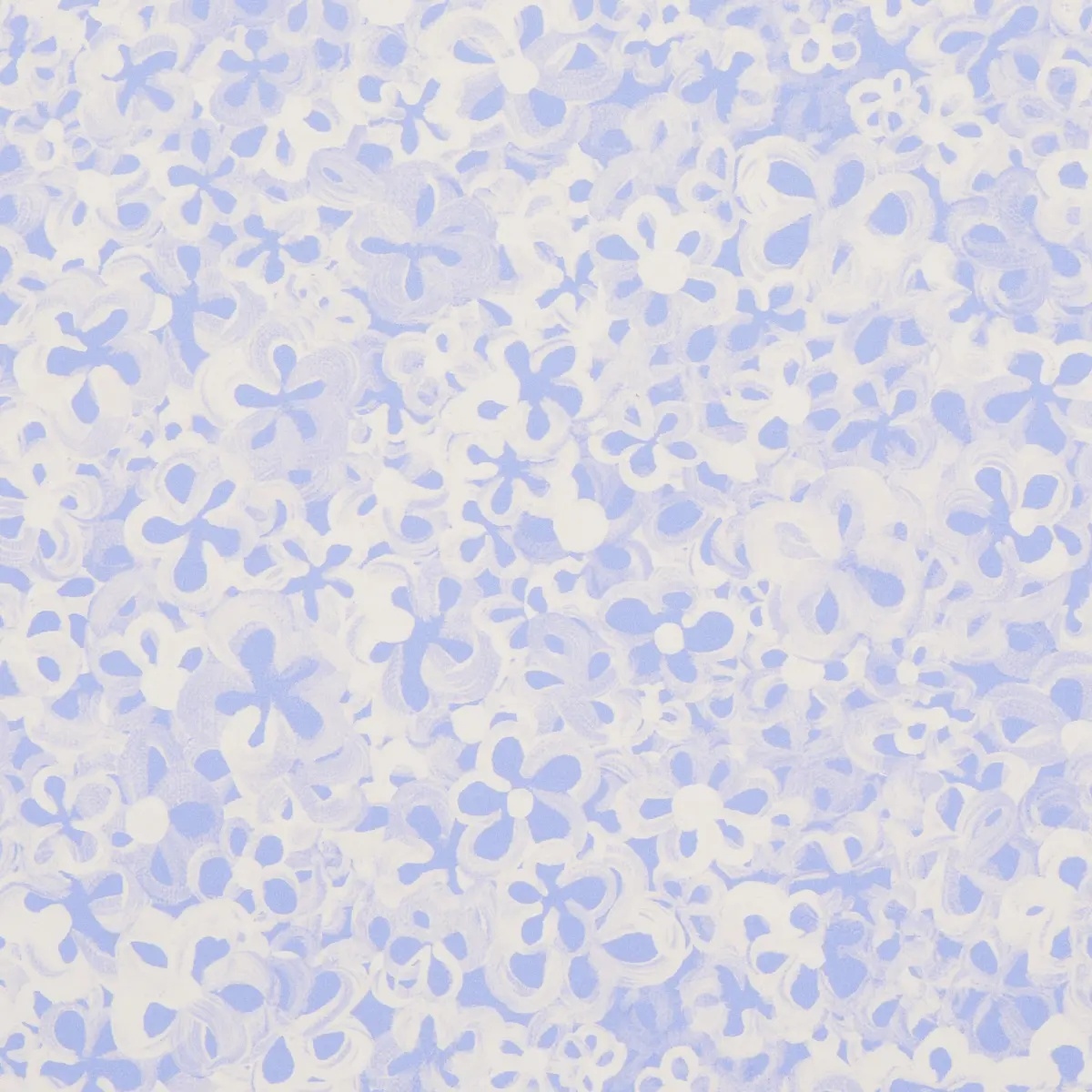 Schumacher X Backdrop Collaboration 5014200