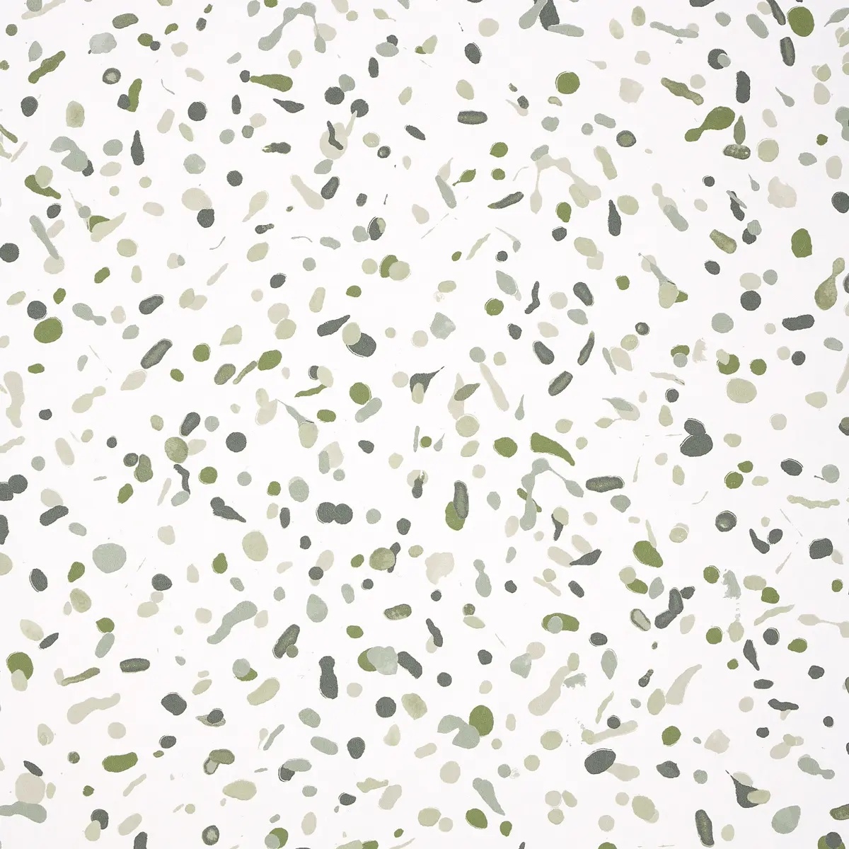 Schumacher X Backdrop Collaboration 5014561