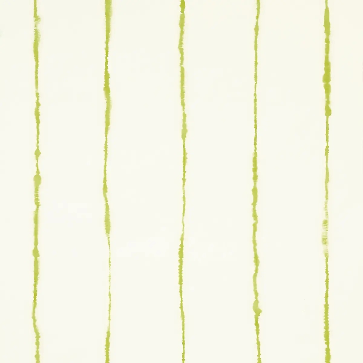 Schumacher X Backdrop Collaboration 5014871