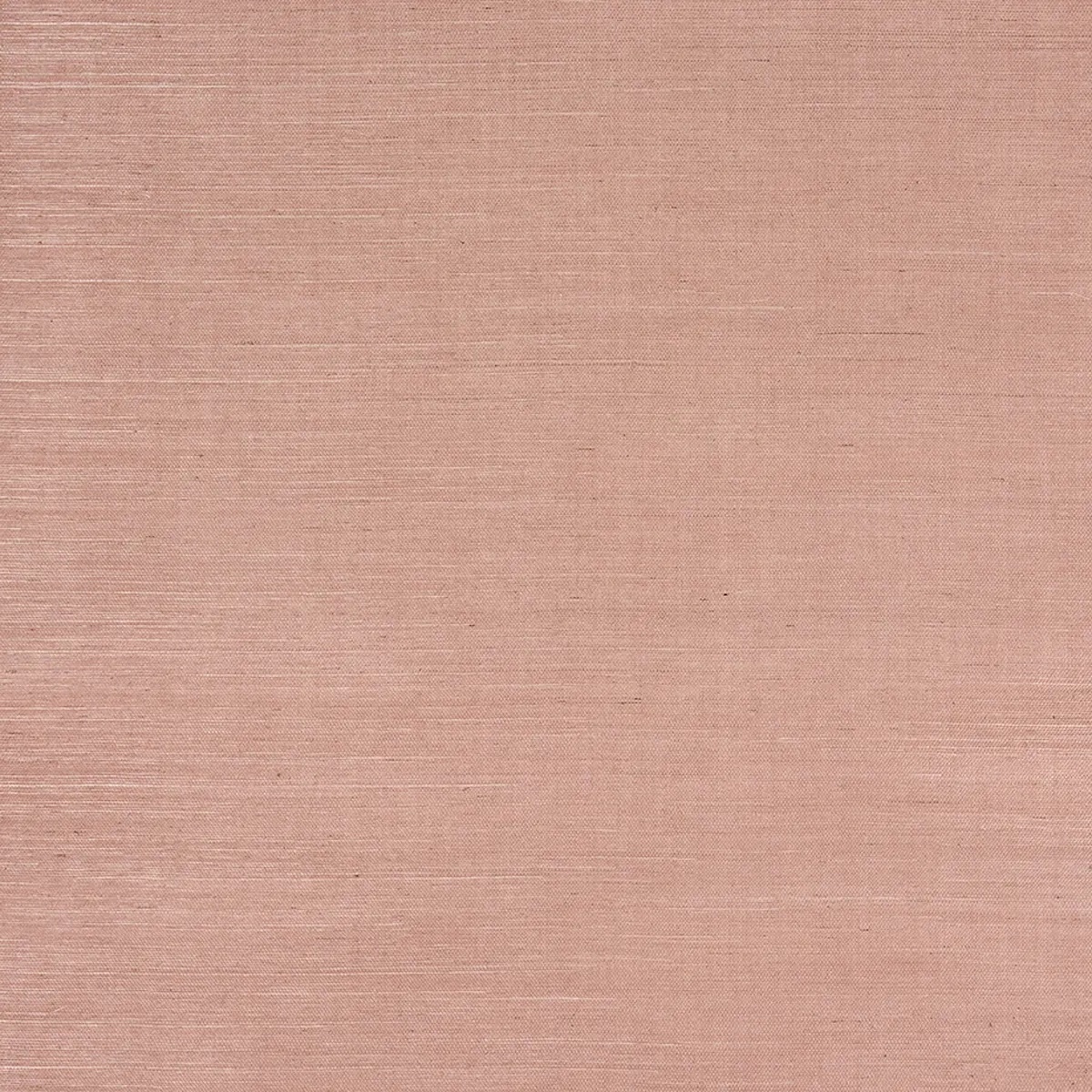 Schumacher X Backdrop Collaboration 5016850