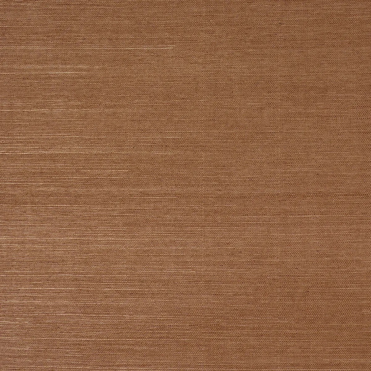 Schumacher X Backdrop Collaboration 5016851