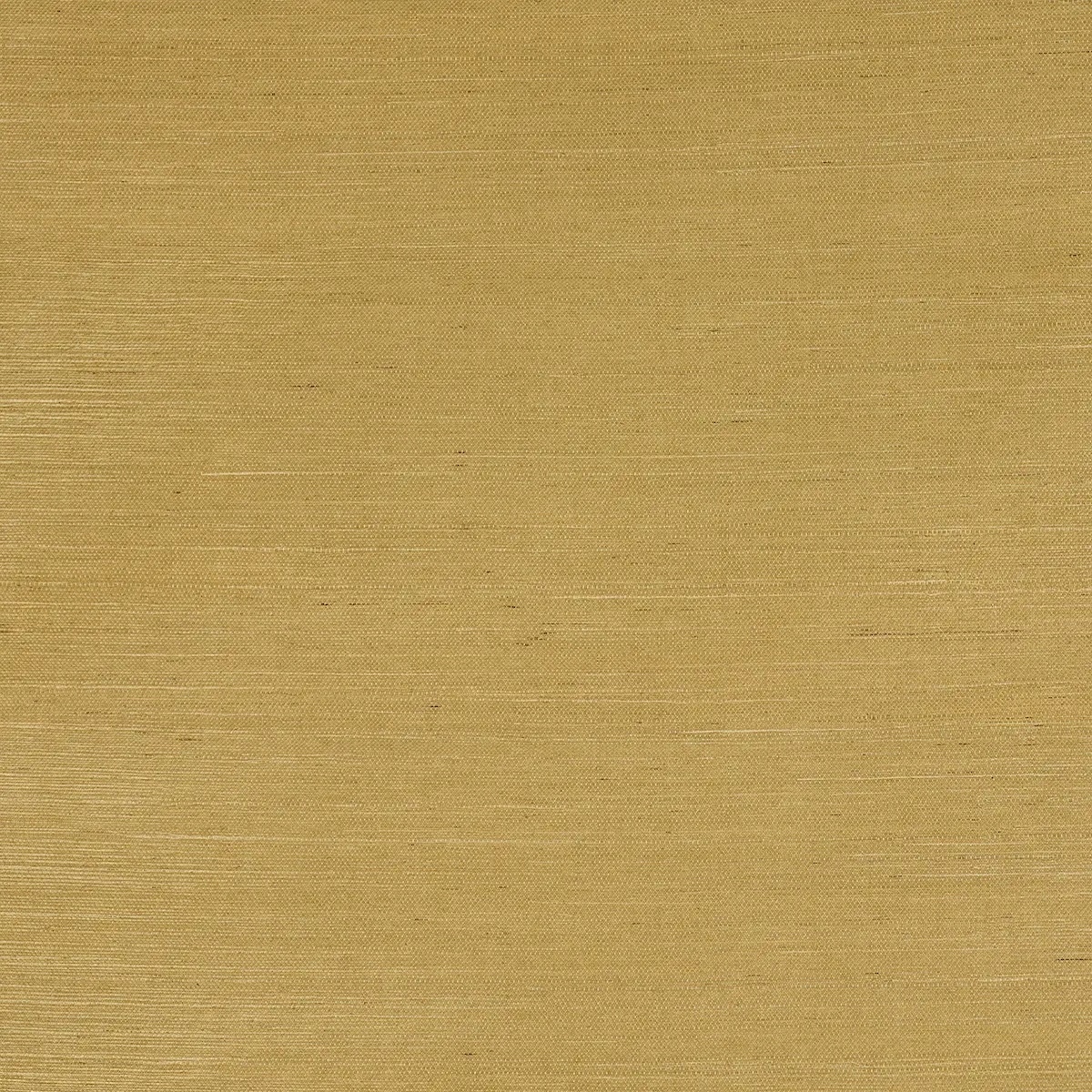 Schumacher X Backdrop Collaboration 5016852