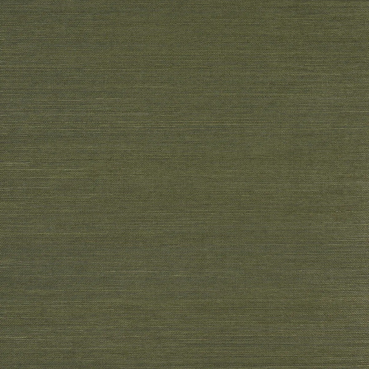 Schumacher X Backdrop Collaboration 5016853