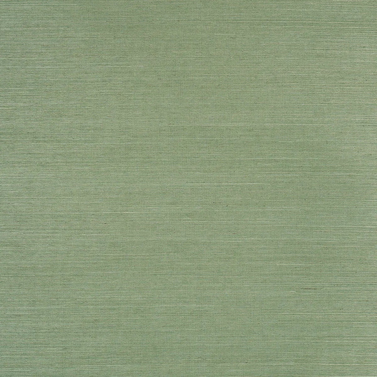 Schumacher X Backdrop Collaboration 5016854