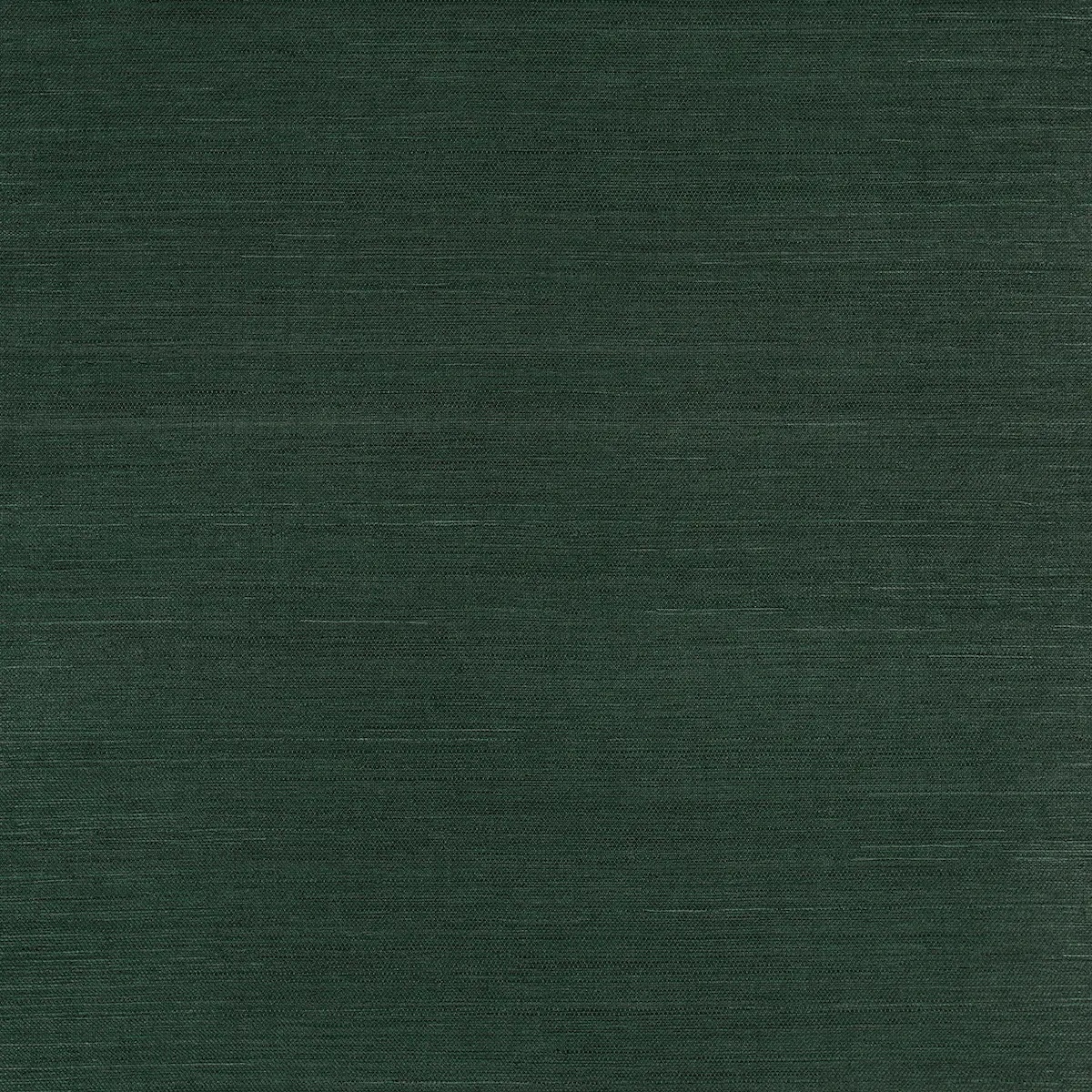 Schumacher X Backdrop Collaboration 5016855