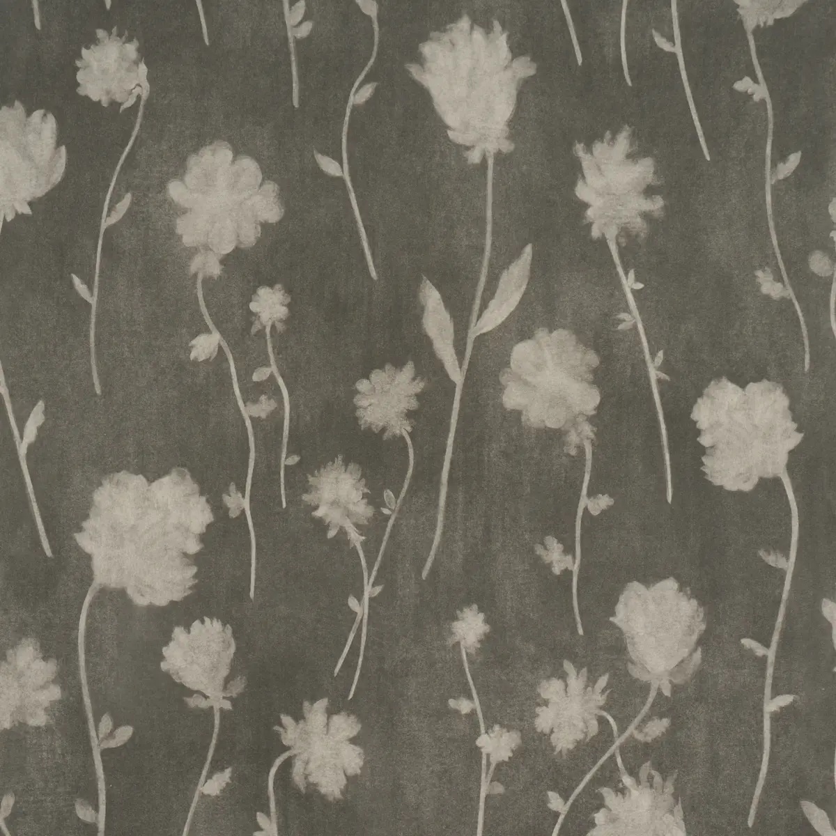 Schumacher X Backdrop Collaboration 5017360