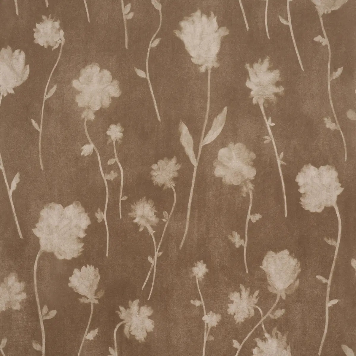 Schumacher X Backdrop Collaboration 5017361