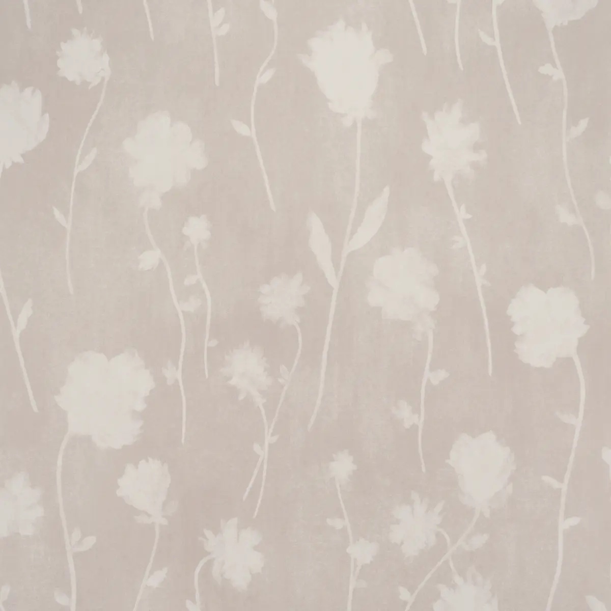 Schumacher X Backdrop Collaboration 5017362