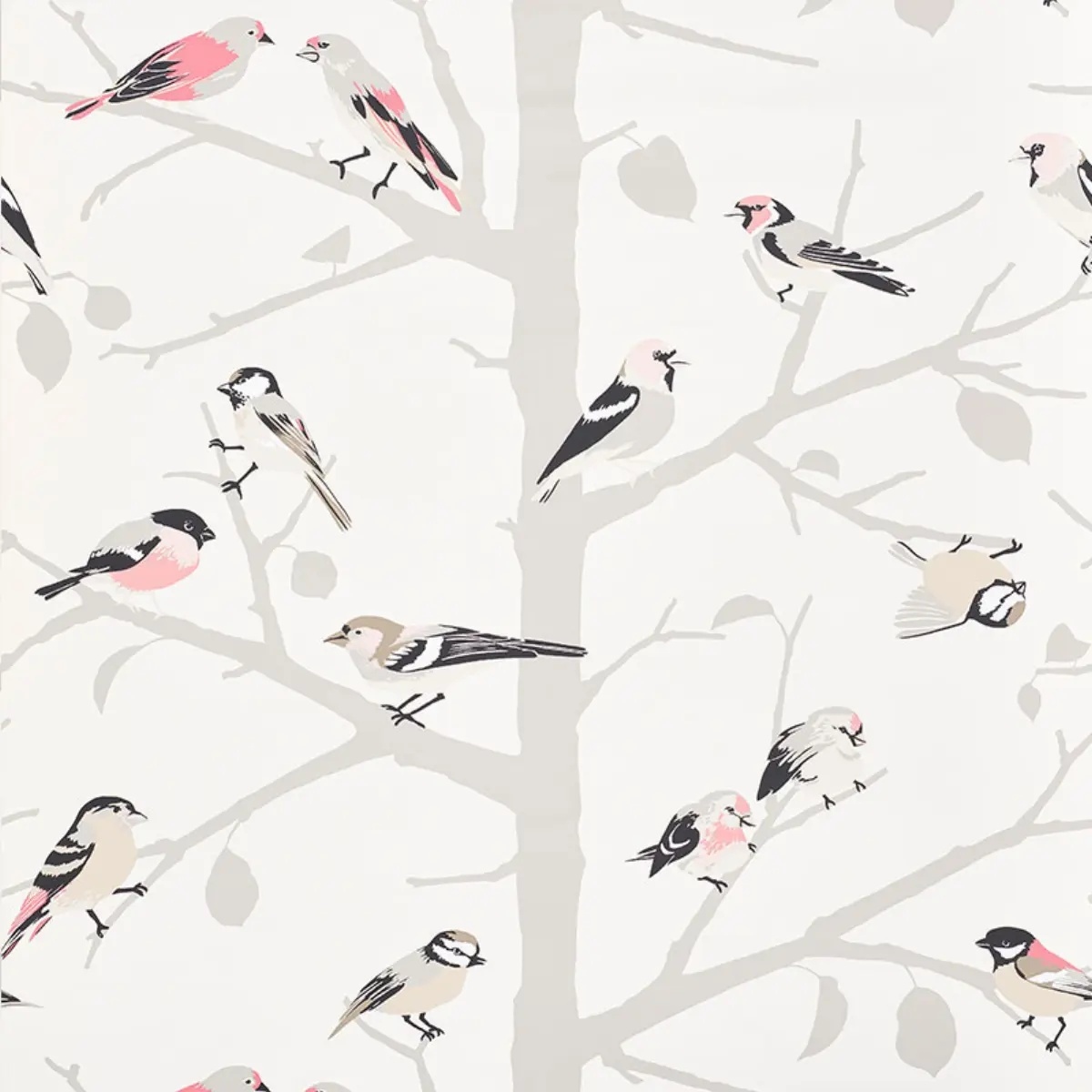 A-Twitter in blush