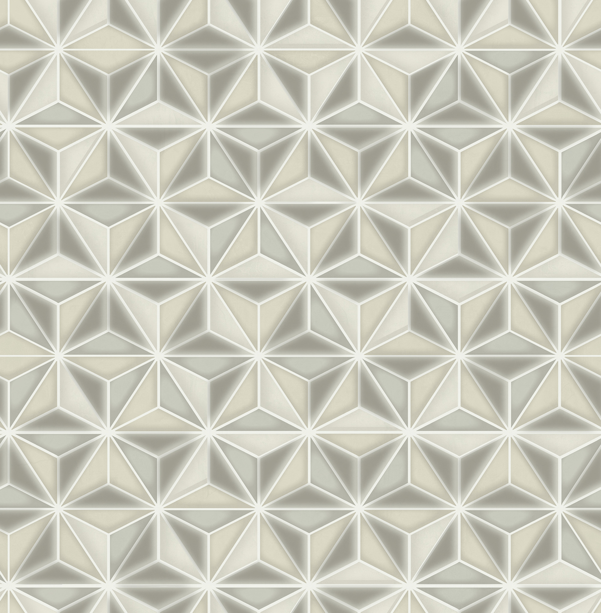 Einstein Geometric