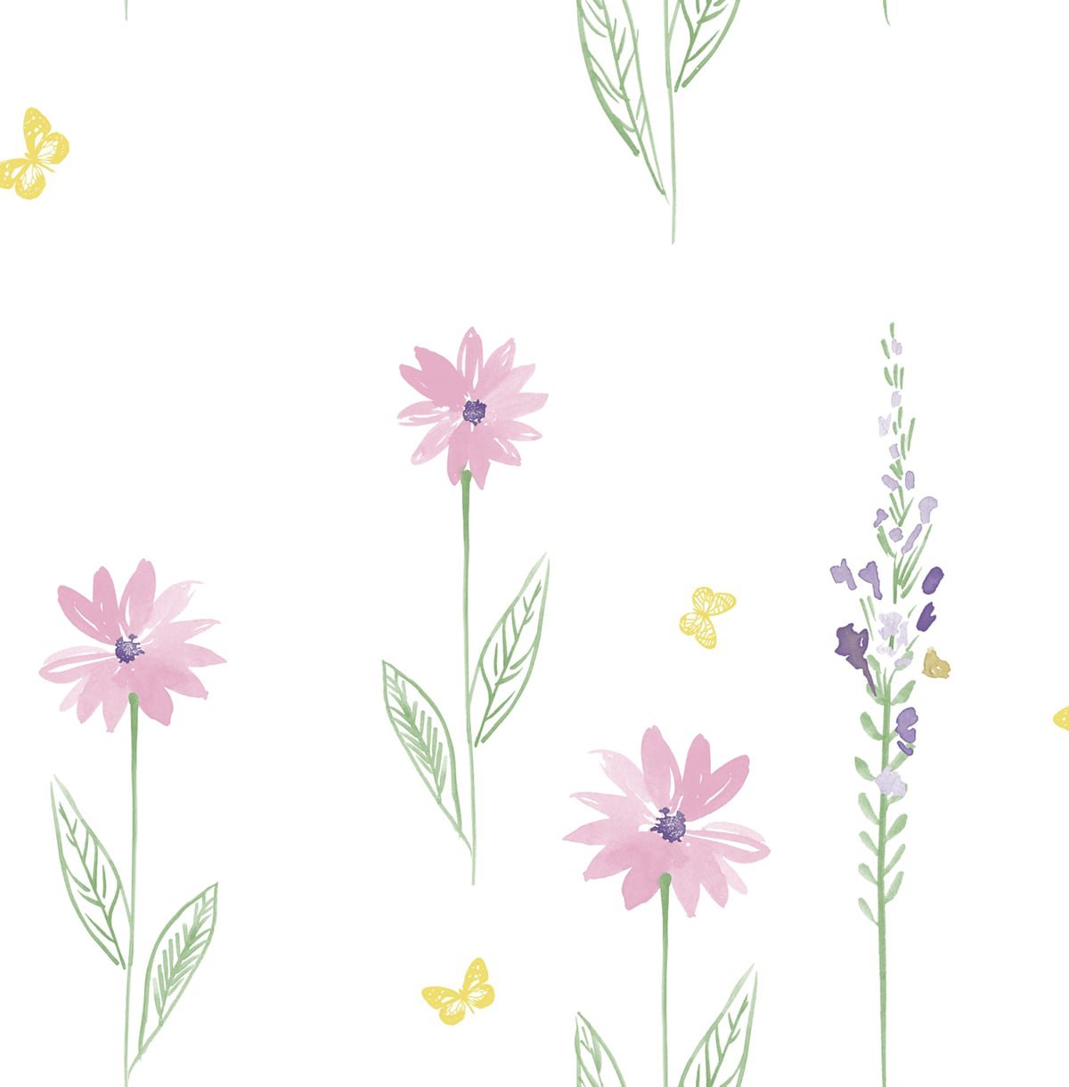 Daisy Field