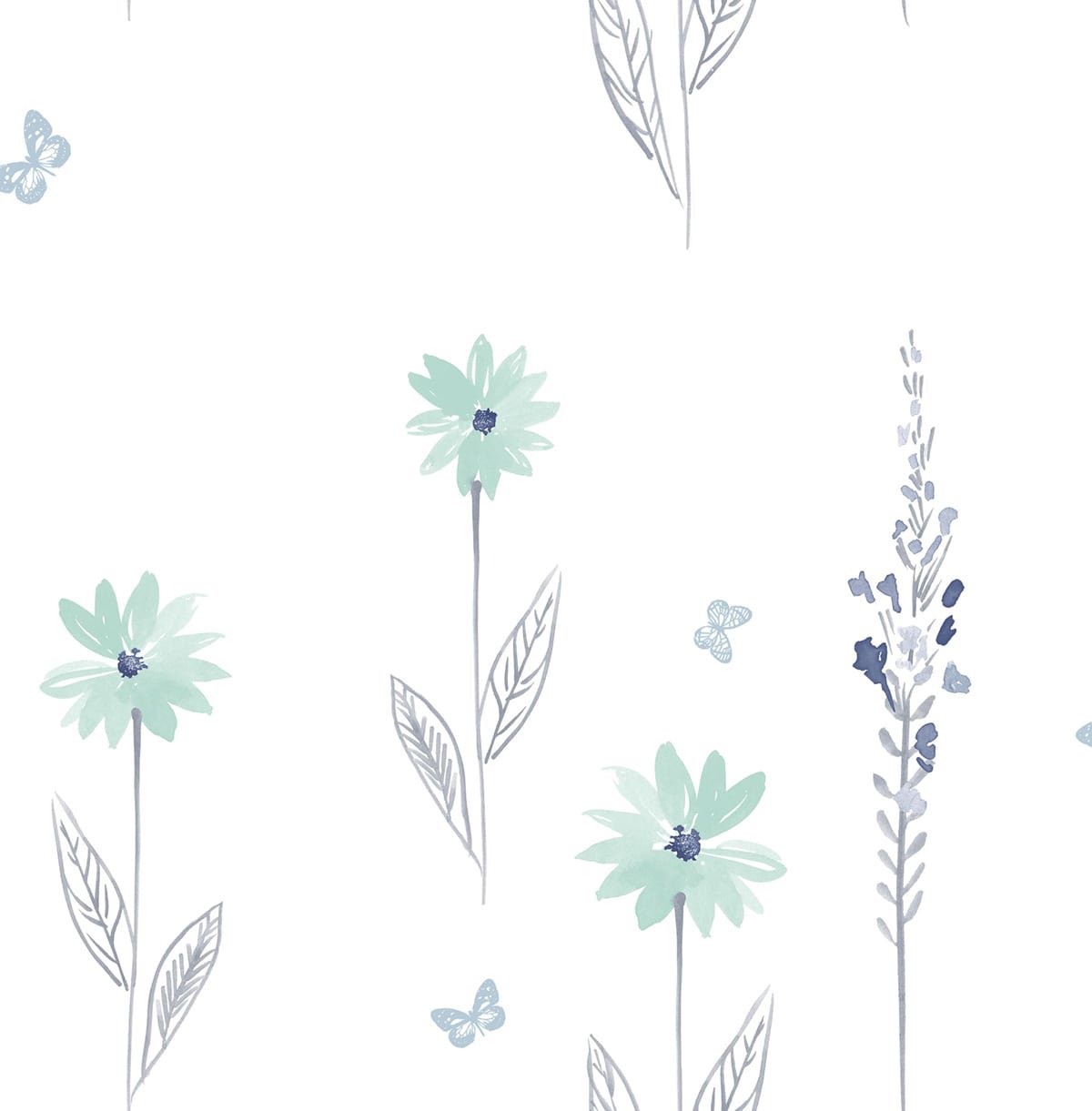 Daisy Field