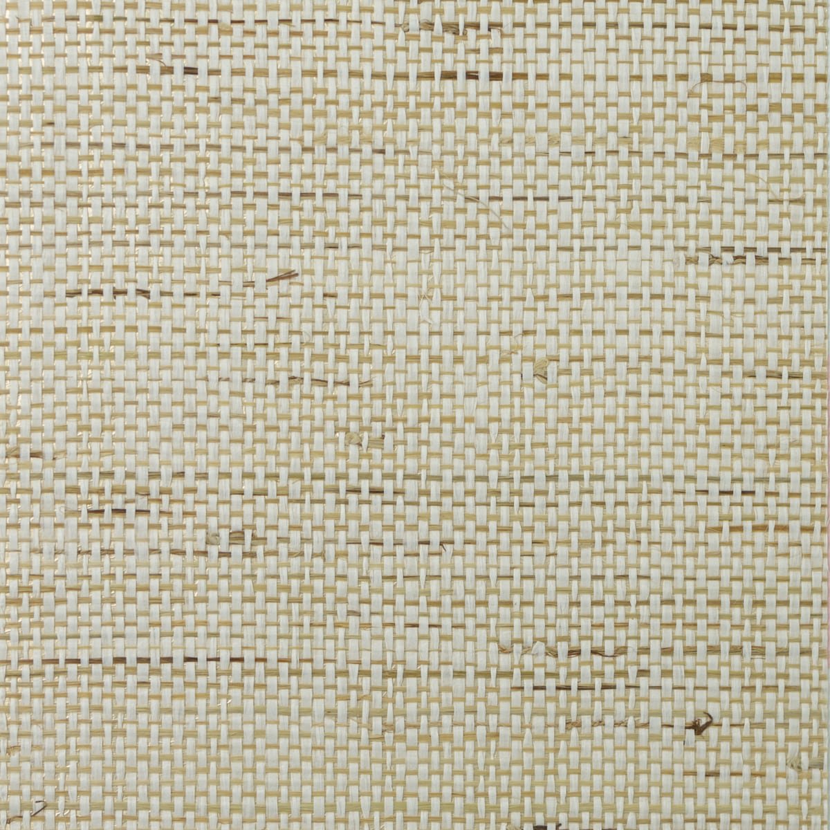 Paperweave and Ramie