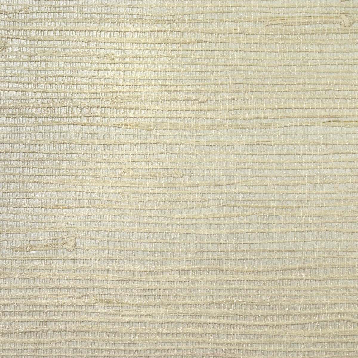 Jute