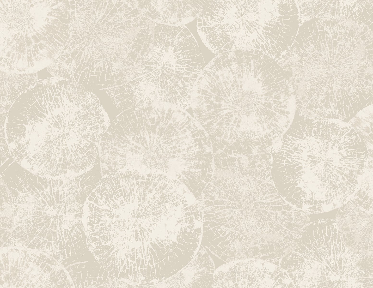Japandi Style Zen + Simplicity JP10707