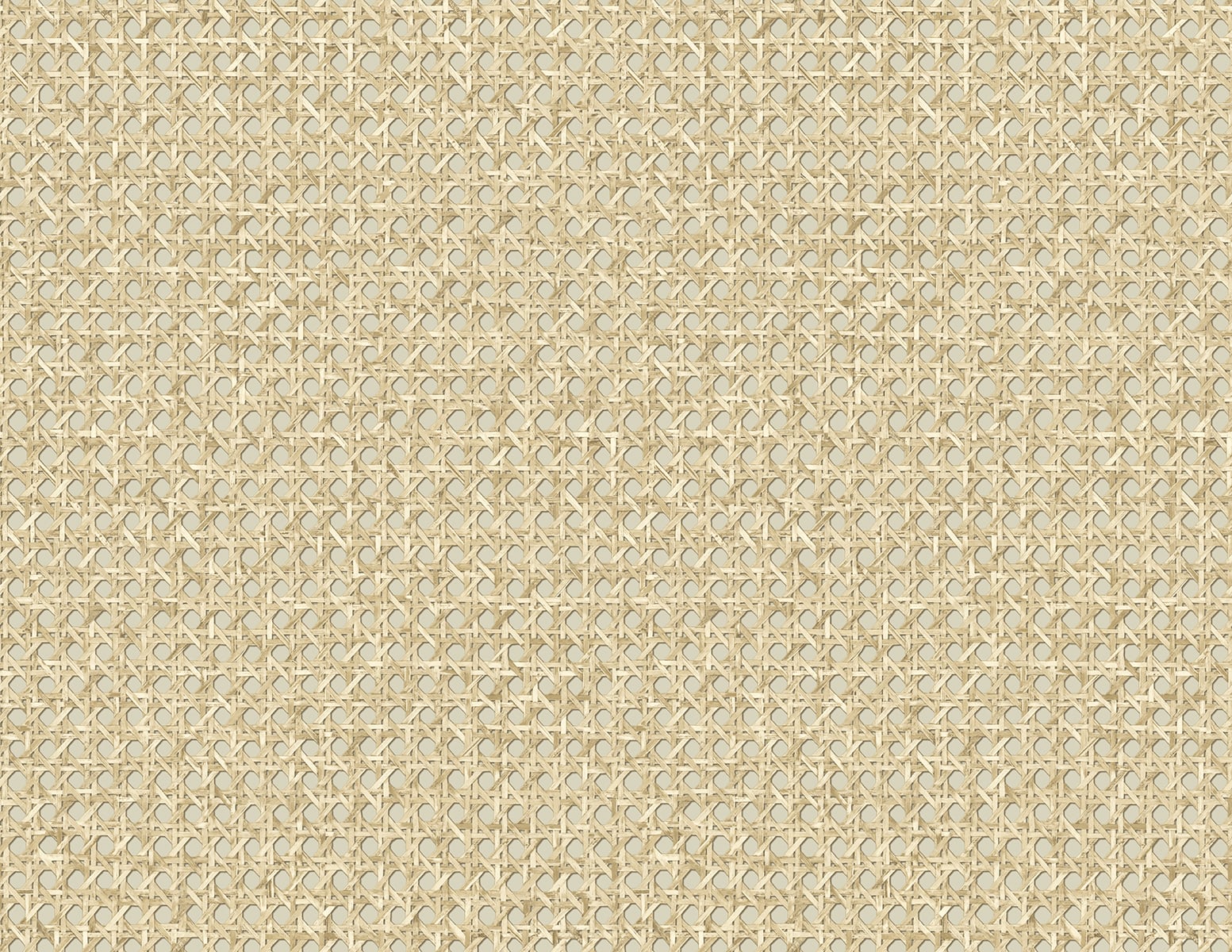 Japandi Style Zen + Simplicity JP11205