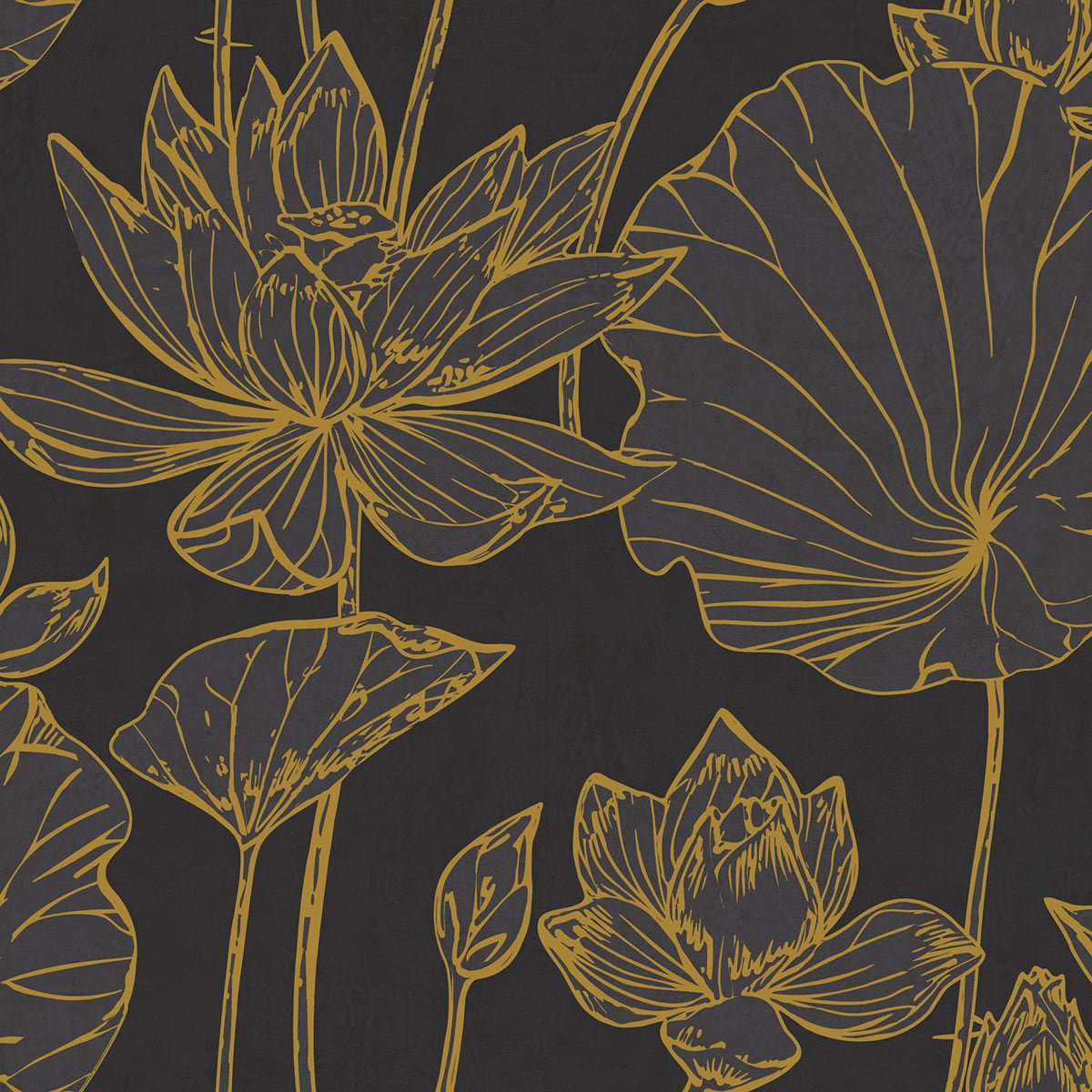 Lotus Floral