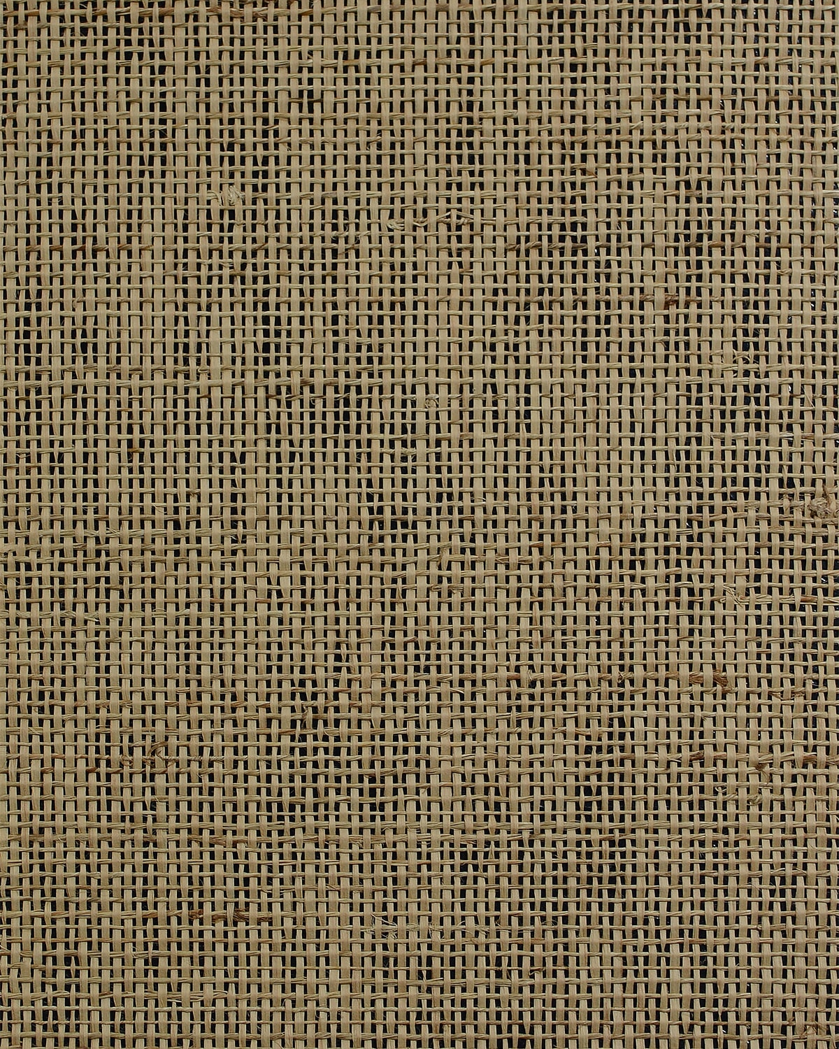 Raw Jute
