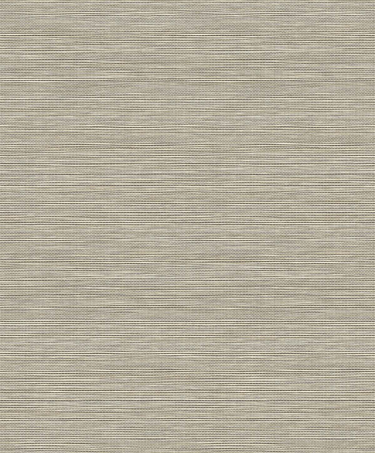 Natural Grass Textures by Seabrook Designs EN40207