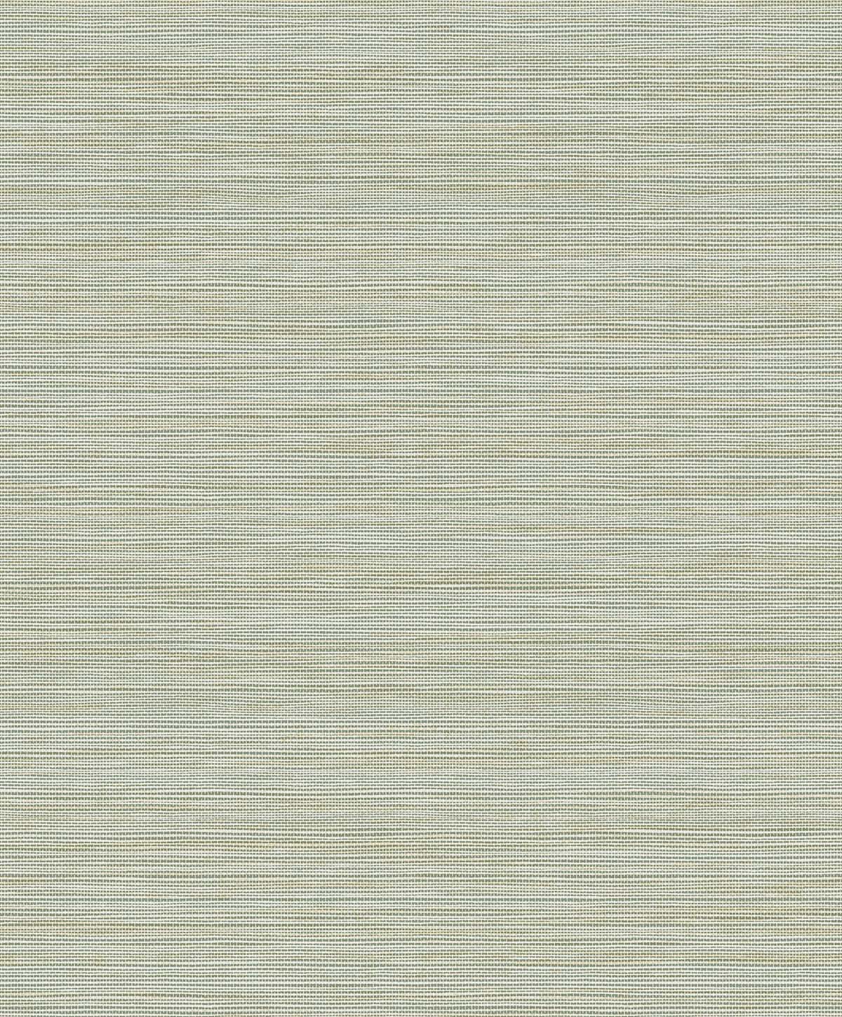 Natural Grass Textures by Seabrook Designs EN40214