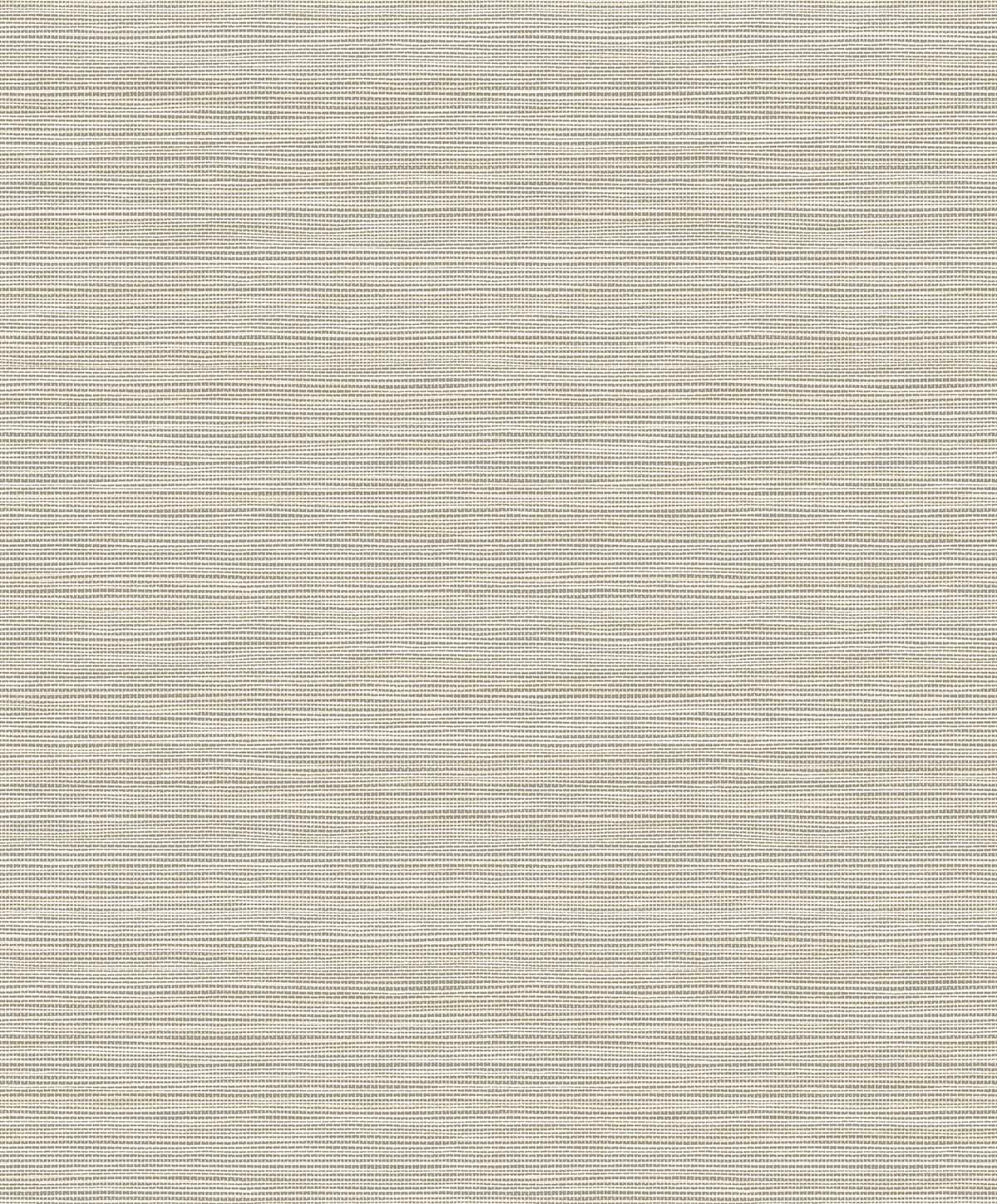 Natural Grass Textures by Seabrook Designs EN40215