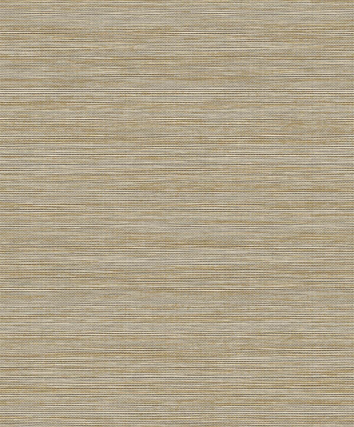 Natural Grass Textures by Seabrook Designs EN40216