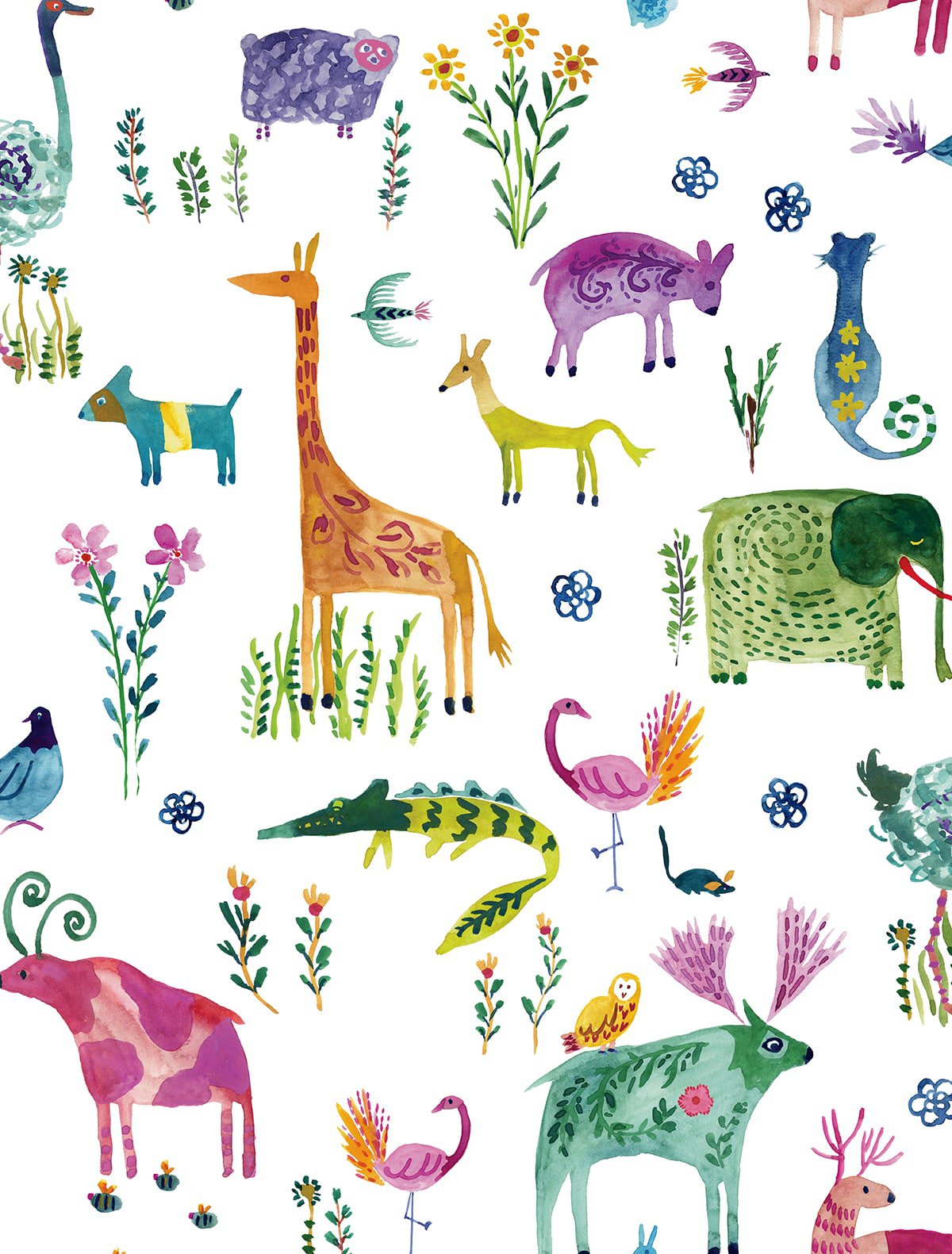 Animals