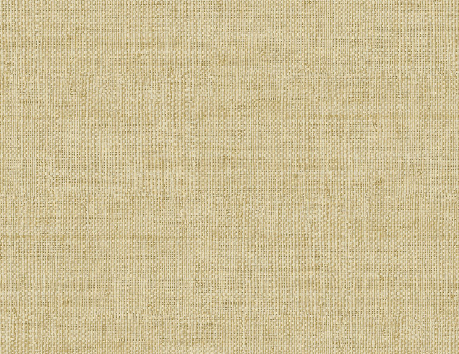 Raffia by Seabrook RA40303