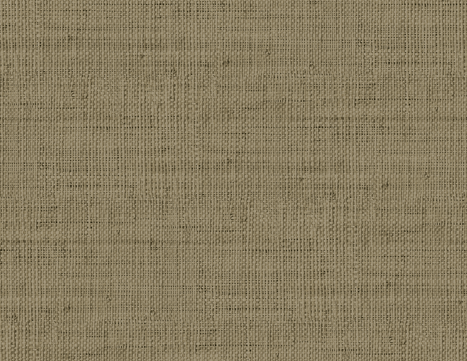 Raffia by Seabrook RA40350