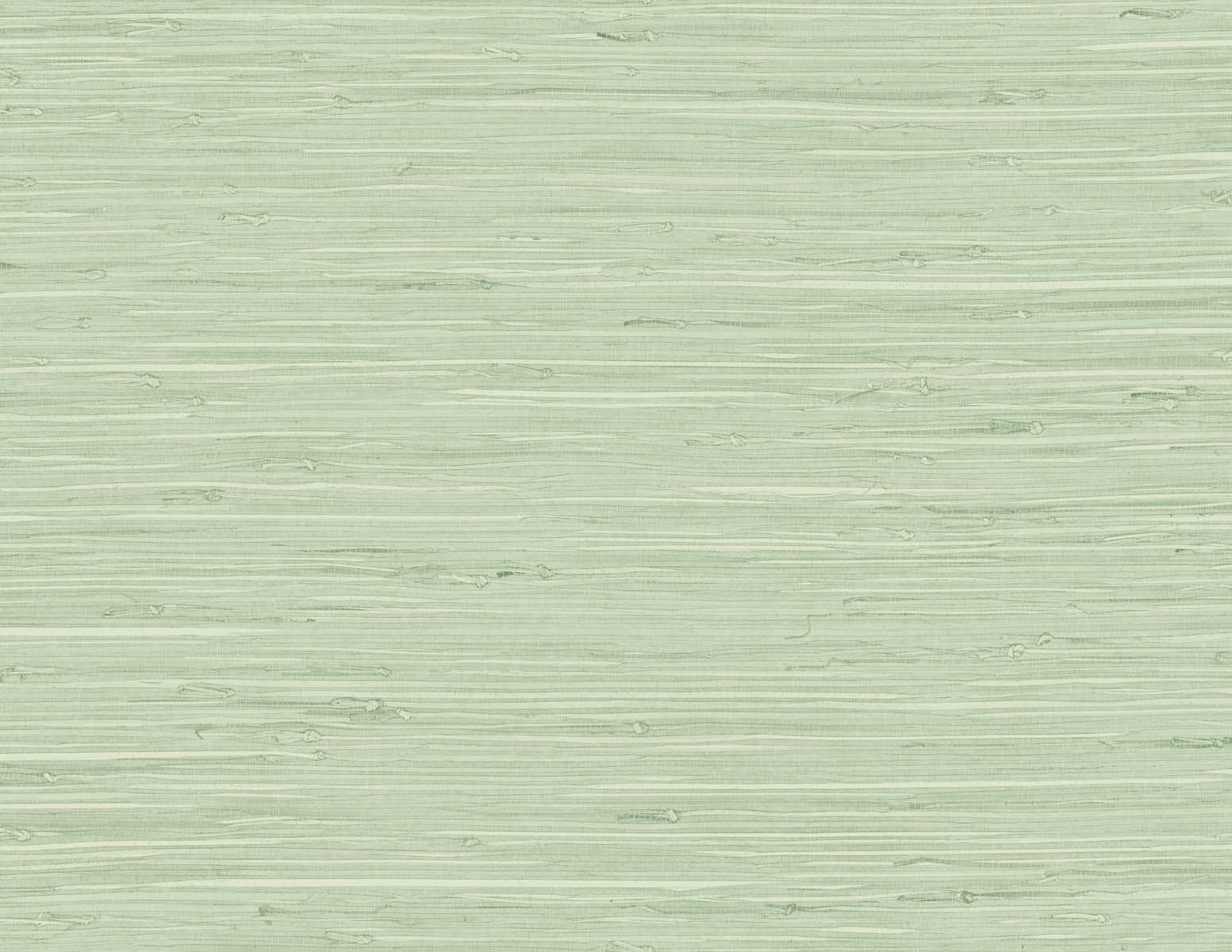 Marion Faux Arrowroot