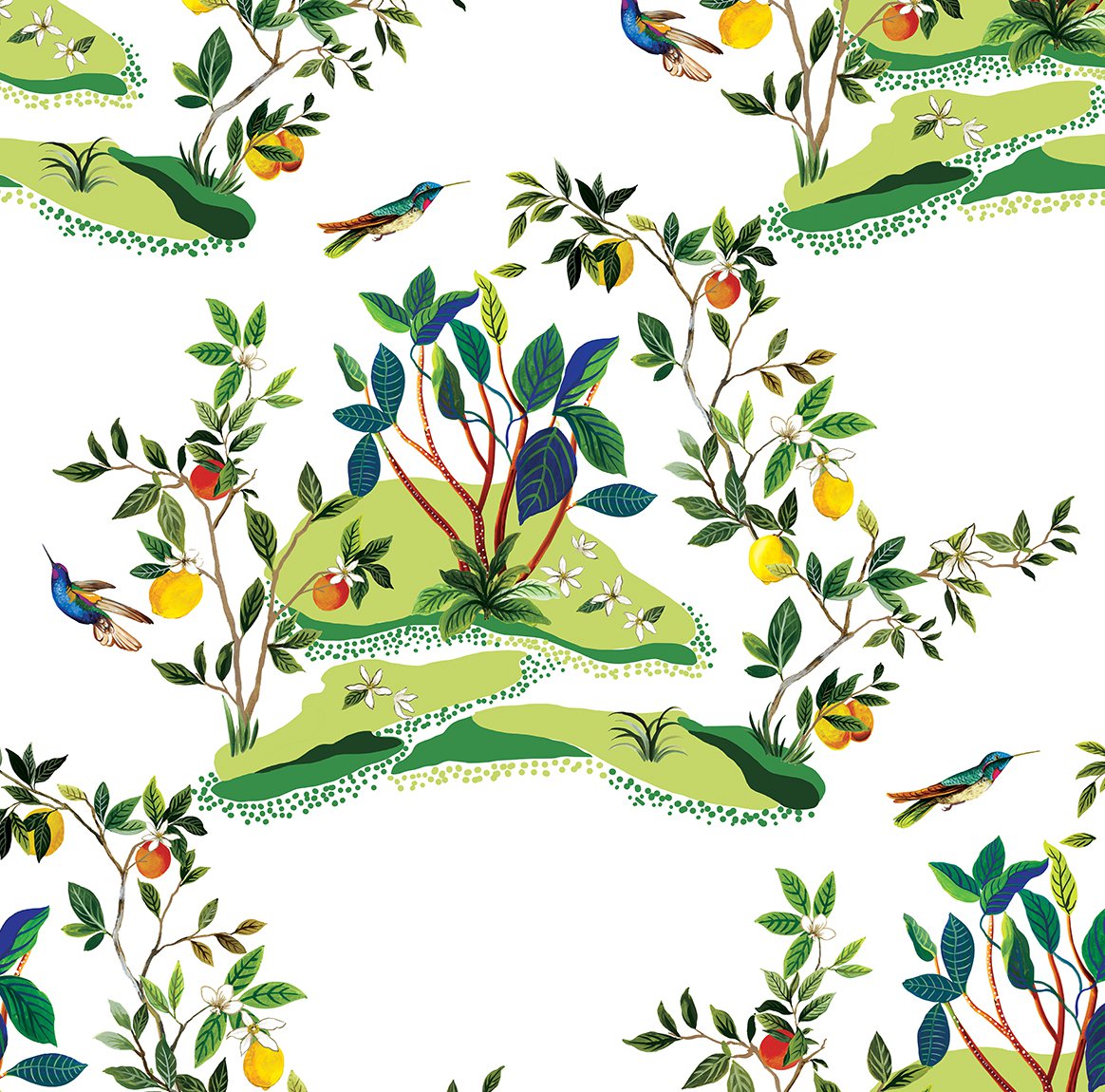 Citrus Hummingbird
