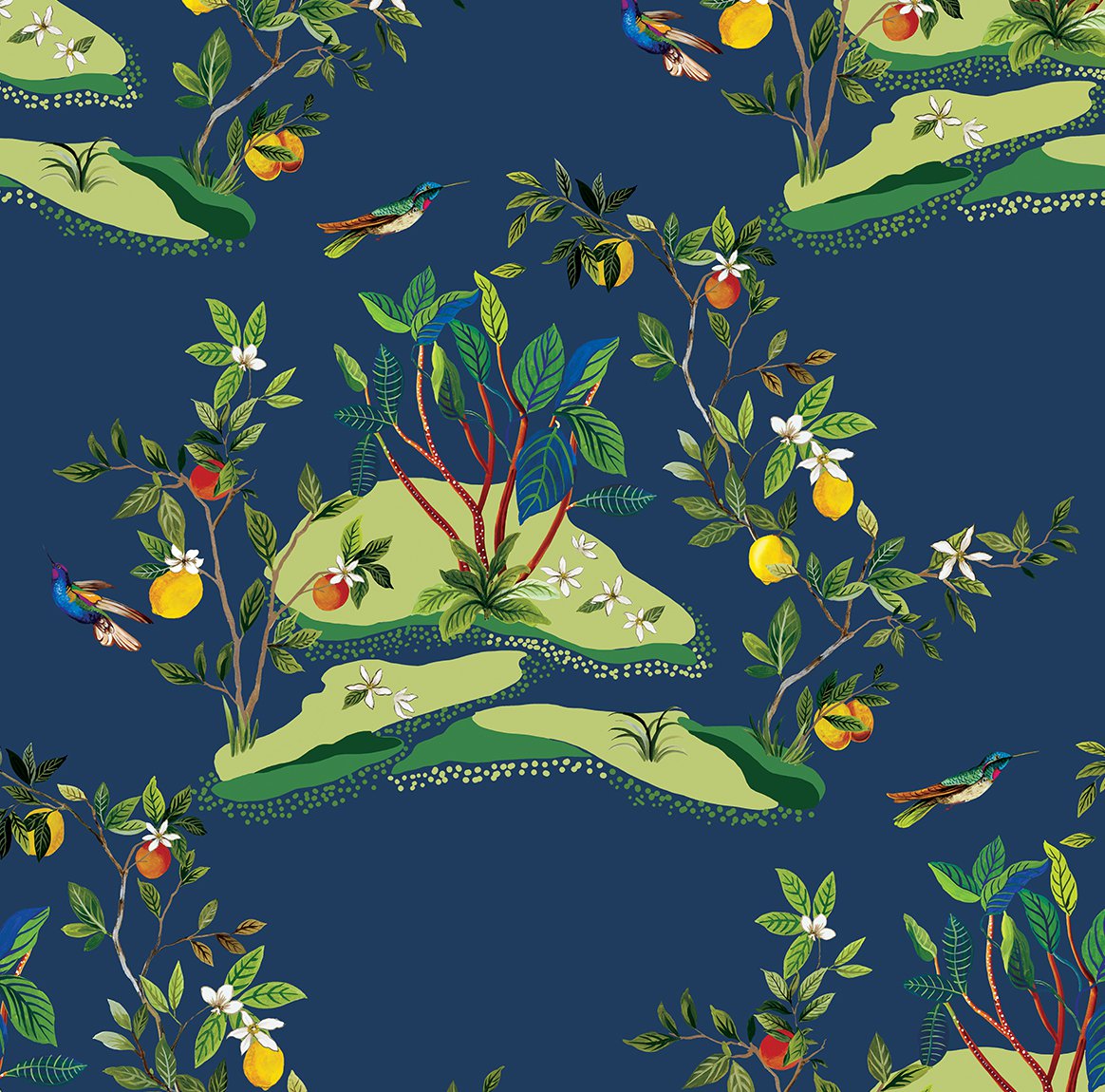 Citrus Hummingbird
