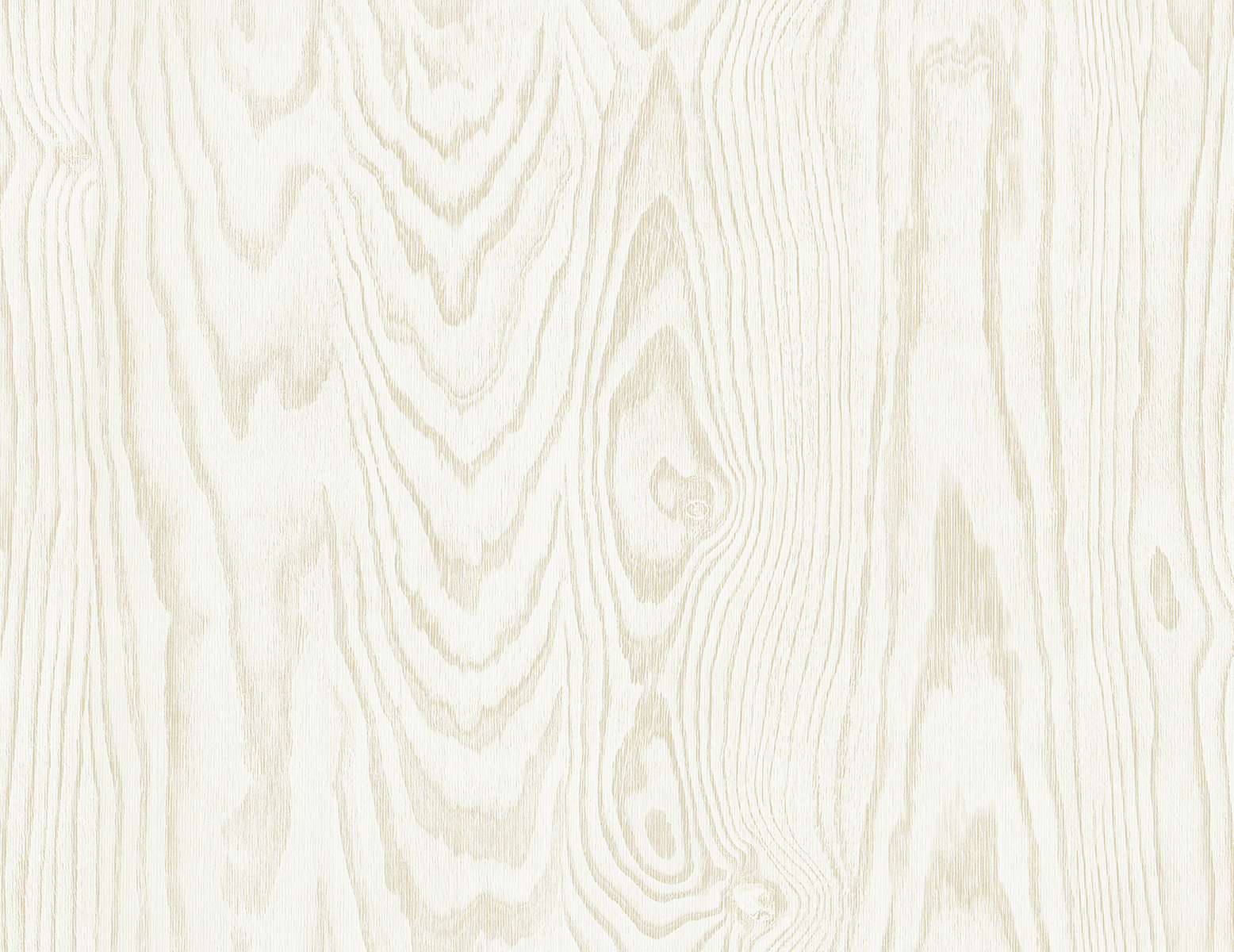 White Heron EW11305