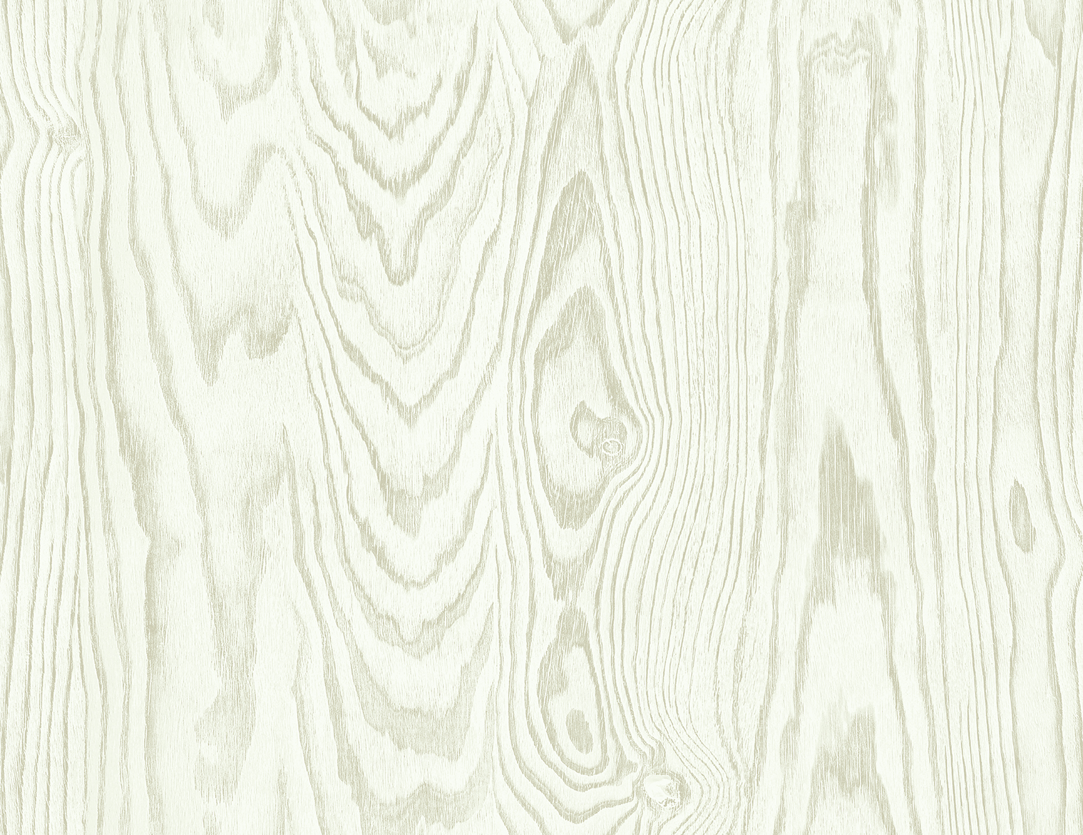 White Heron EW11307
