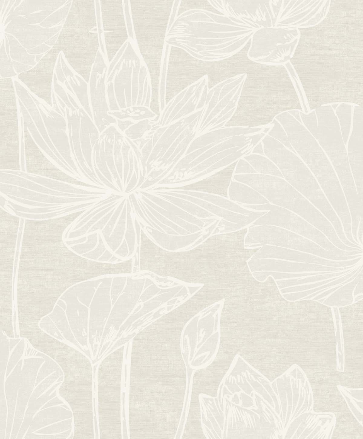 Water Lilies
