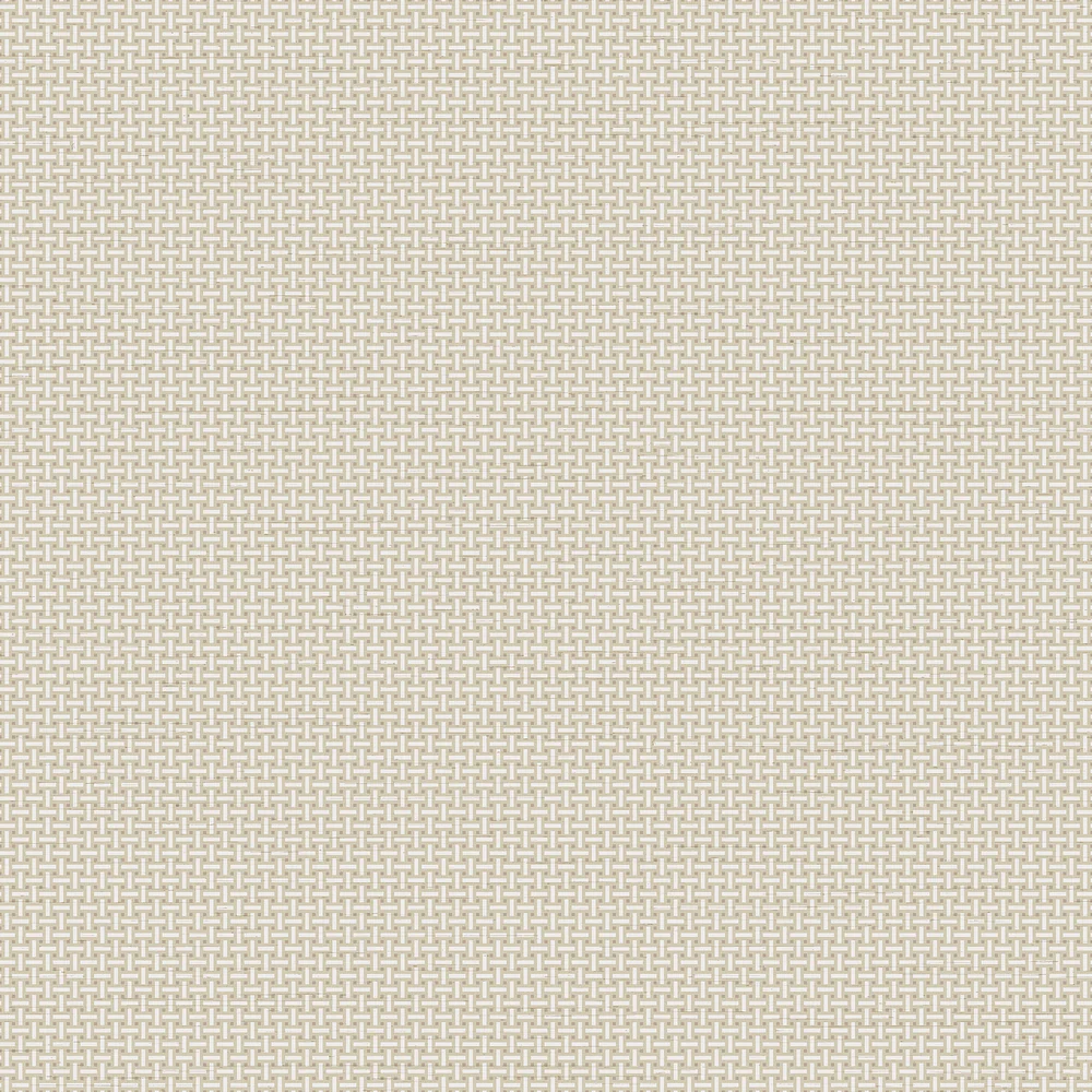 Veer Decor Traditional Wallpaper 8386AC2
