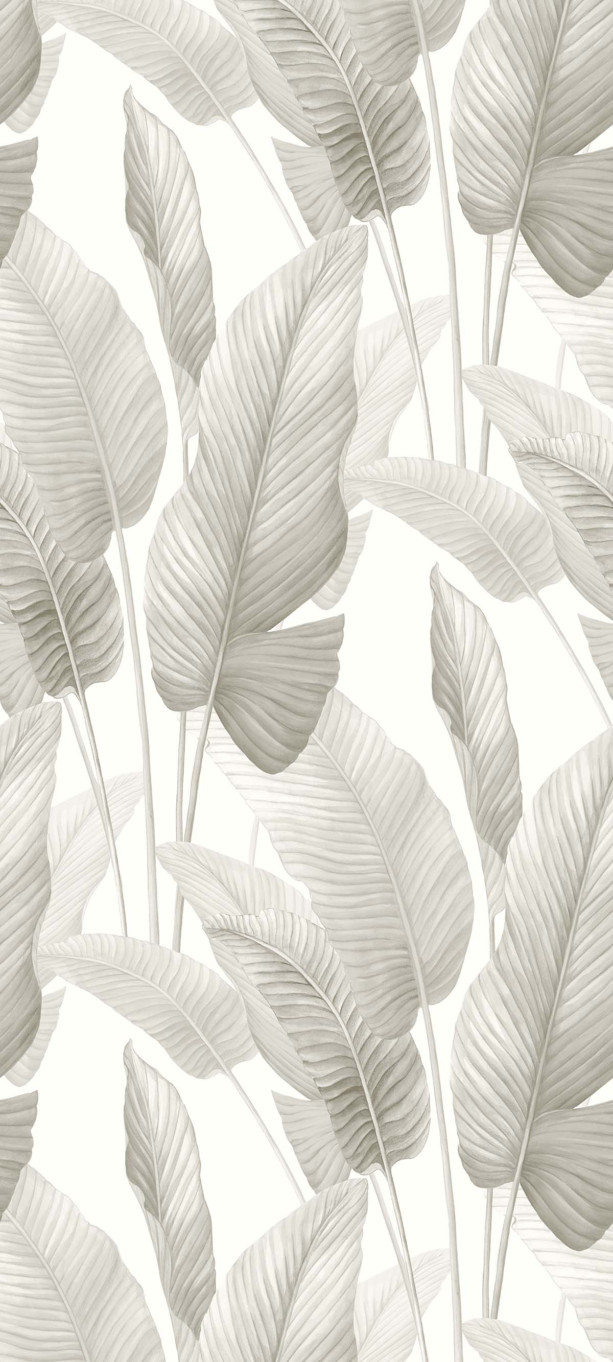 Bali Tropical by Seabrook Designs AG60008
